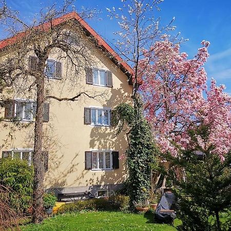 70Qm 3-Zimmer Apartment Am Tauernradweg In Hallein Bei Salzburg, Nahe Berchtesgaden, Rossfeld, Kehlsteinhaus, Obersalzberg, Watzmann, Schoenau Am Koenigsee, Bad Vigaun, Schloss Hellbrunn, Burg Hohen Salzburg, Burg Hohen Werfen # Beherbergungsbetrieb Екстер'єр фото